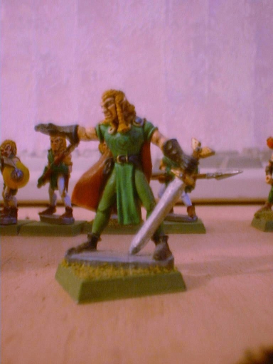 Wood Elf Warrior with sword
